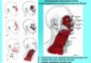 Миофасциальный релиз: как вернуть здоровье тела и молодость лица