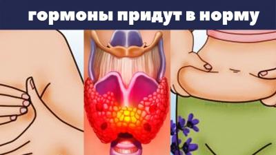 biolazer_g1625046671