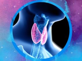 Здоровье щитовидной железы, как улучшить свое самочувствие